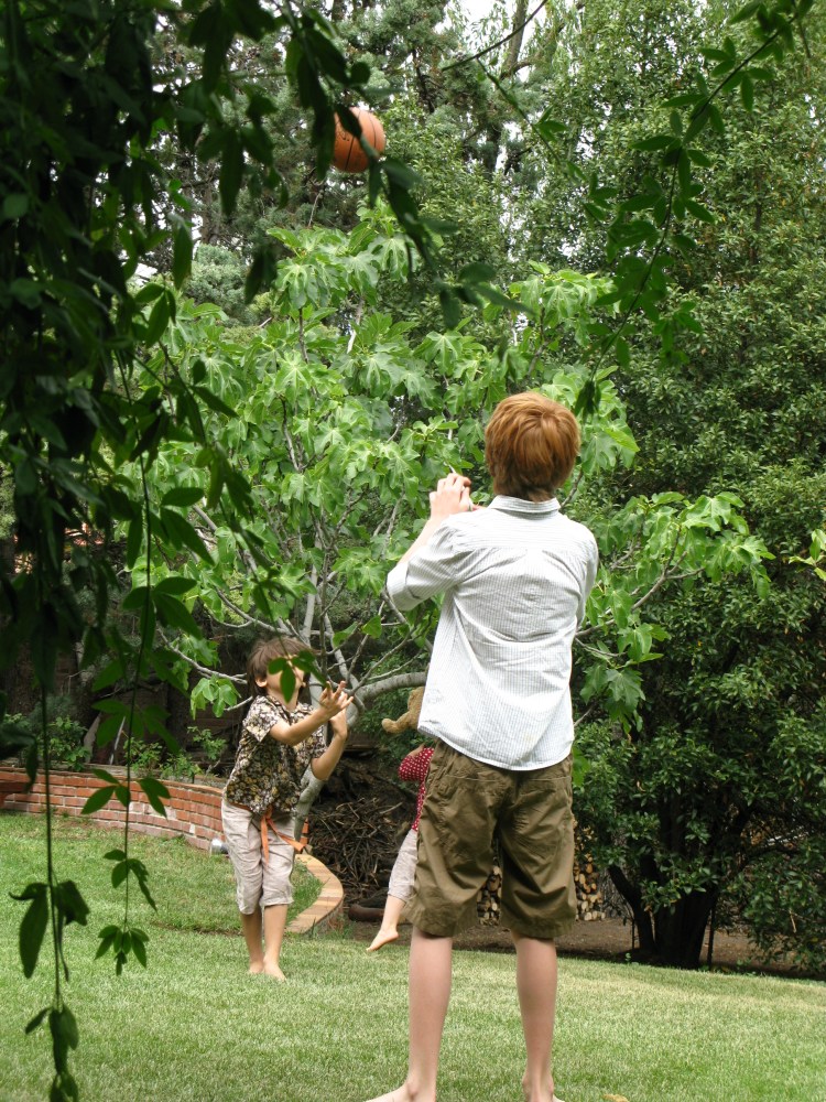 Summer Holiday 2009 Spain 014