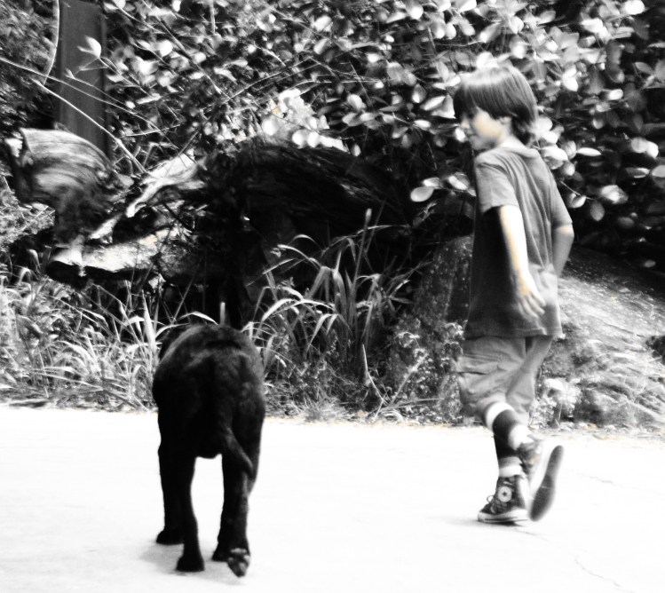 Sri Lankan New Year - Grandparents and Jungle 034