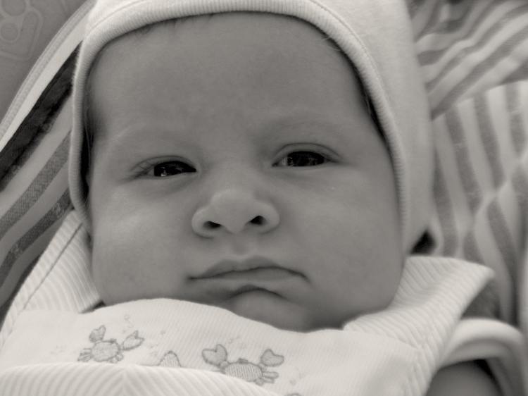 Sri Lankan New Year - Grandparents and Jungle 043