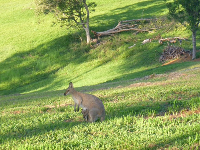 409B6387-6EF4-4ADA-805E-4DF2D57DA74B