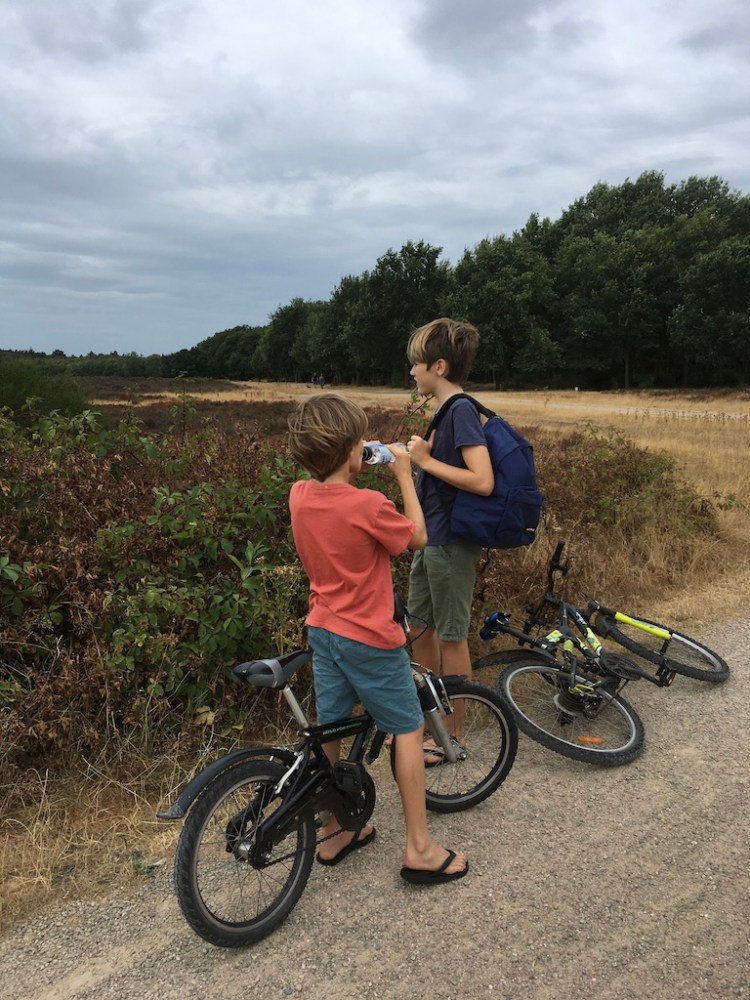 UNADJUSTEDNONRAW_thumb_ad9