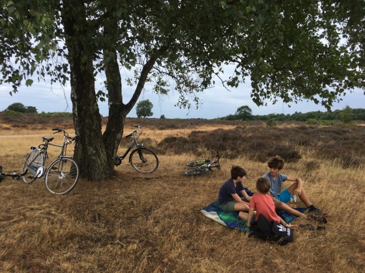 UNADJUSTEDNONRAW_thumb_aee