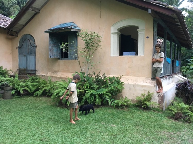 UNADJUSTEDNONRAW_thumb_ca0