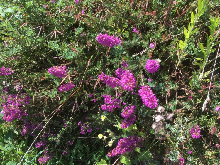 UNADJUSTEDNONRAW_thumb_8b2