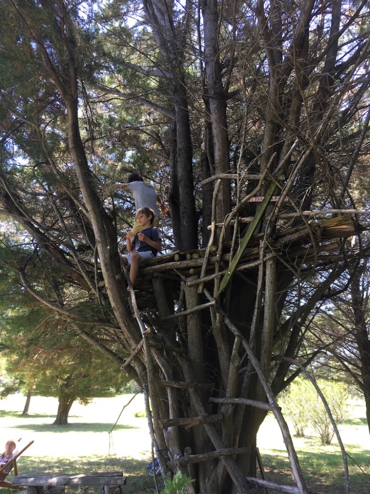 UNADJUSTEDNONRAW_thumb_1332