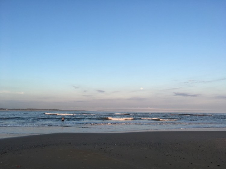 UNADJUSTEDNONRAW_thumb_1398