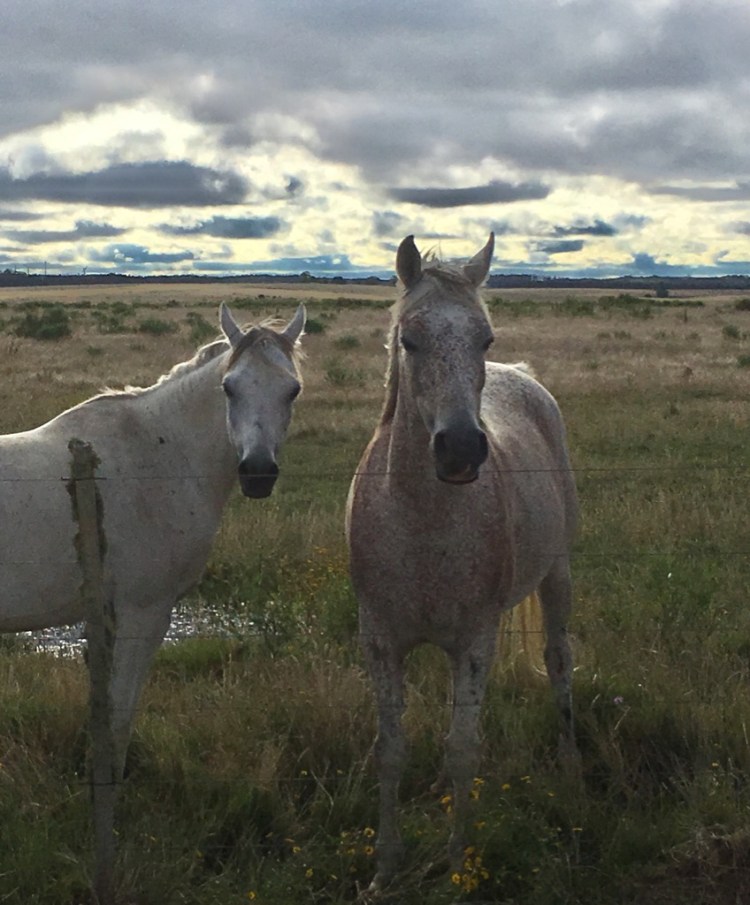 ZEHVyNk5Sx+JRdLRd3g03g_thumb_13c4