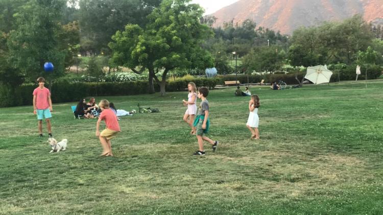 07dee5f8-2f67-468a-b7b5-c2b4c5500f5f