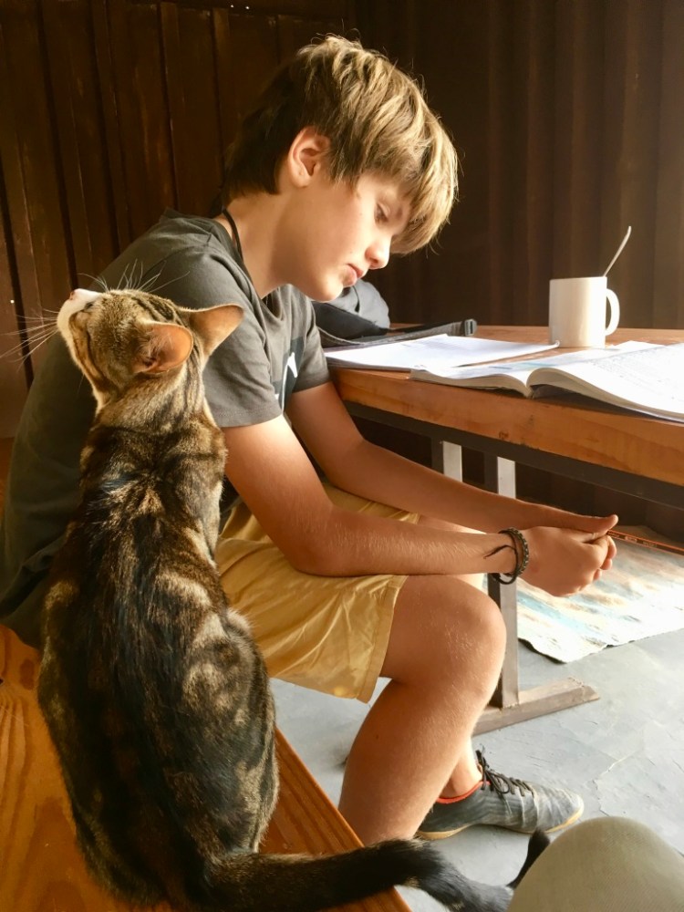 oXHhoEhySL+v48RM+E+erQ_thumb_1919