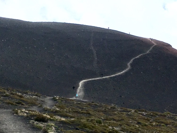 UkIUaPSiQ72OjPzR59fkxA_thumb_1929