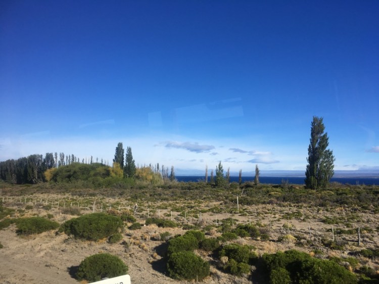 UNADJUSTEDNONRAW_thumb_1590