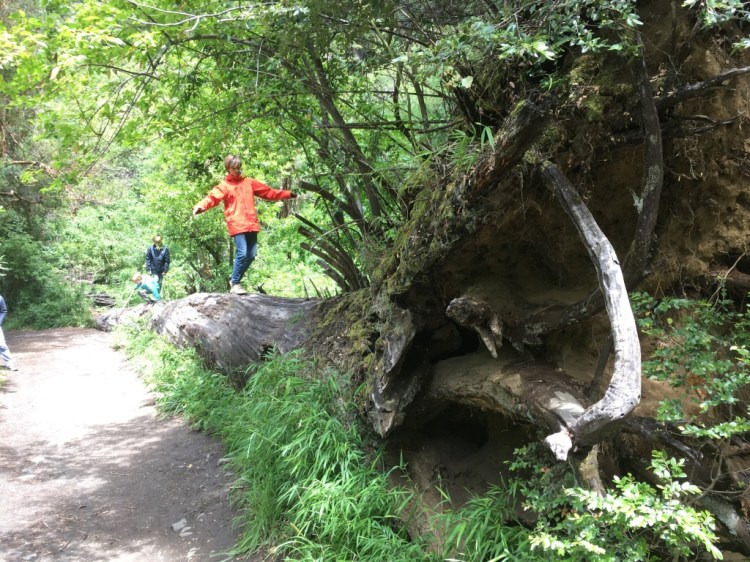 UNADJUSTEDNONRAW_thumb_15a1