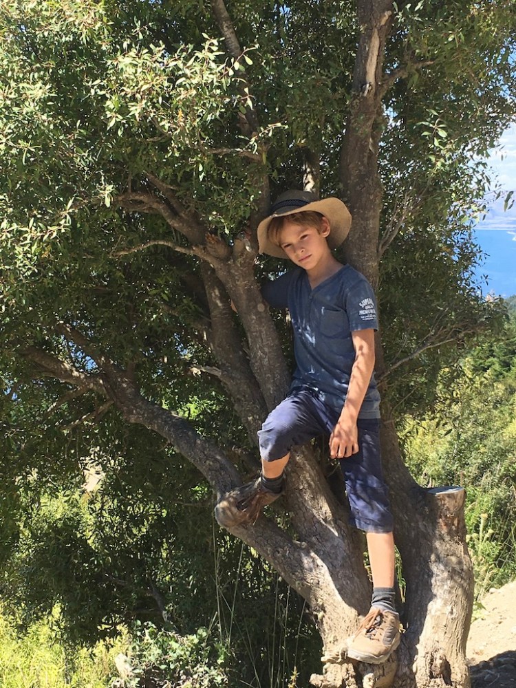 UNADJUSTEDNONRAW_thumb_1776