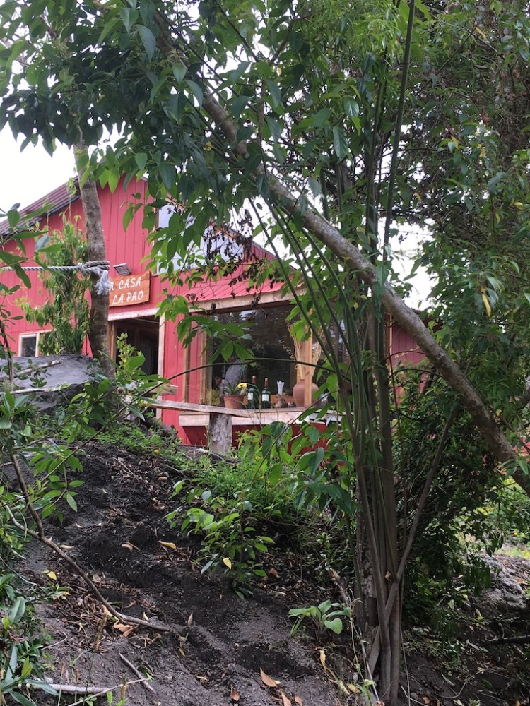 UNADJUSTEDNONRAW_thumb_194e