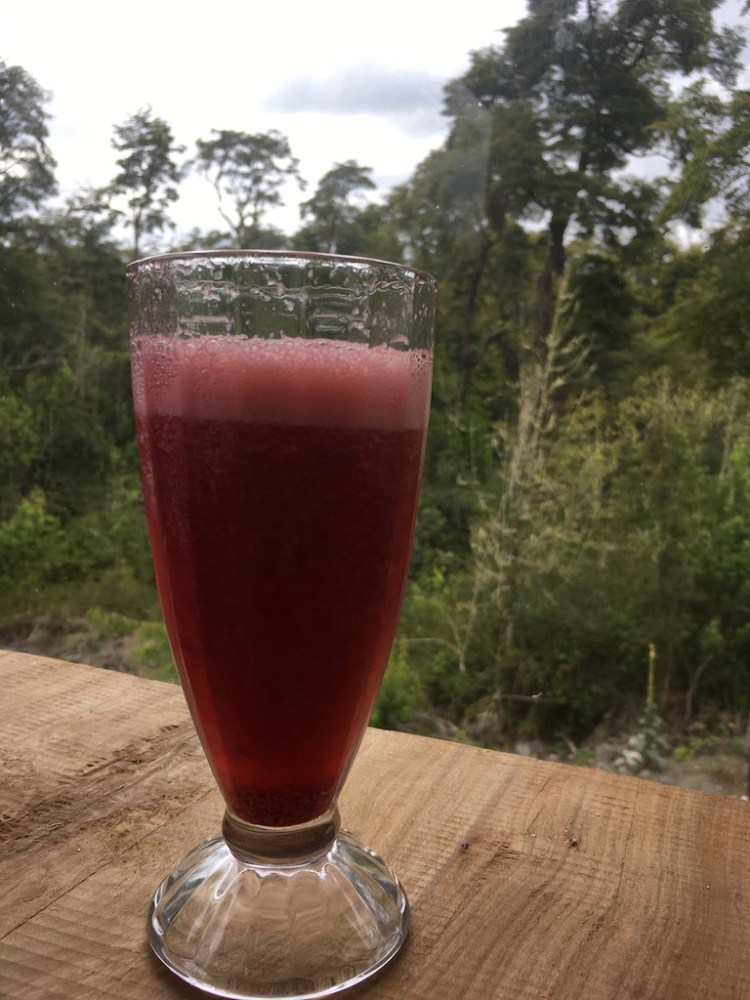 UNADJUSTEDNONRAW_thumb_1954