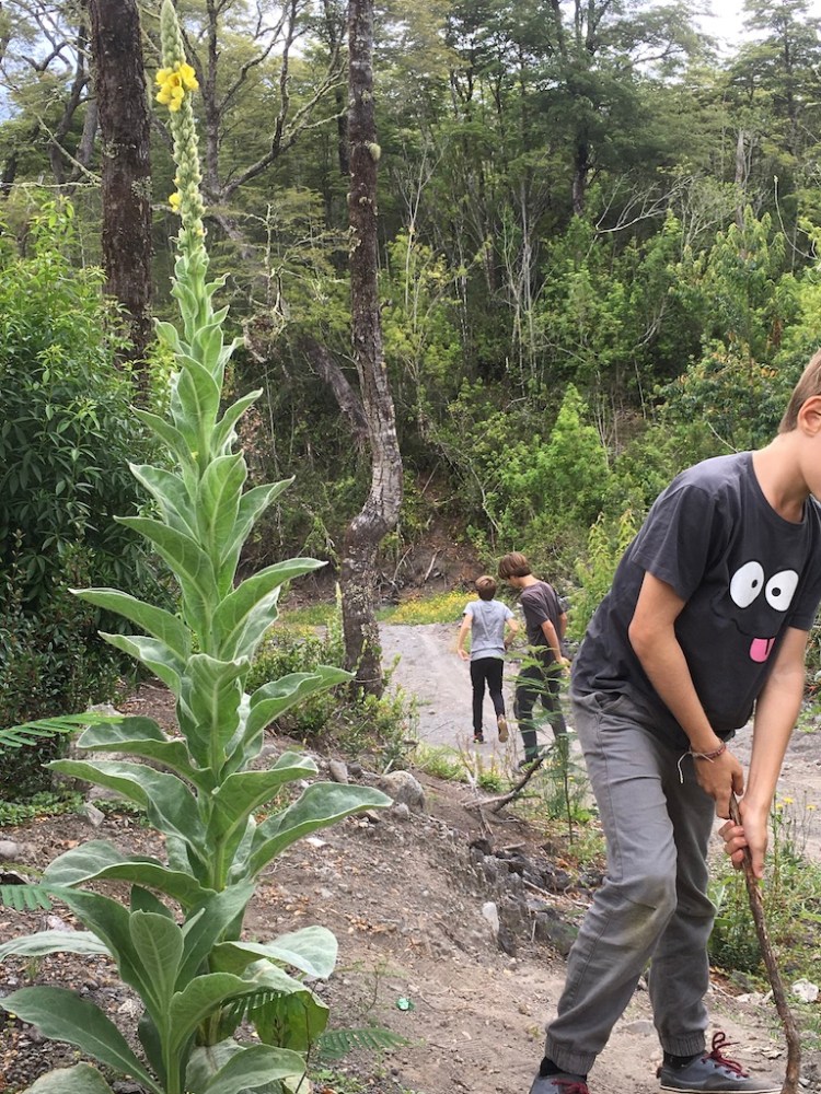 UNADJUSTEDNONRAW_thumb_195b