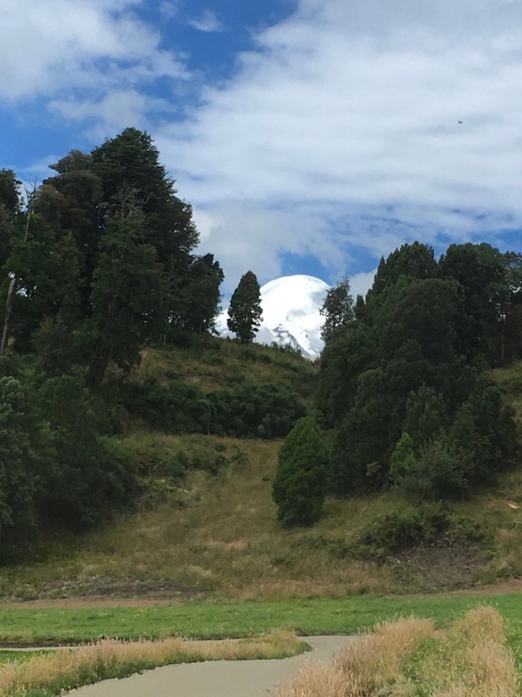 UNADJUSTEDNONRAW_thumb_195e