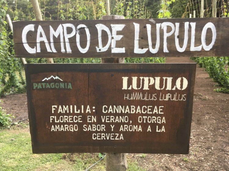 UNADJUSTEDNONRAW_thumb_19a1