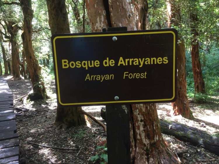 UNADJUSTEDNONRAW_thumb_1c21