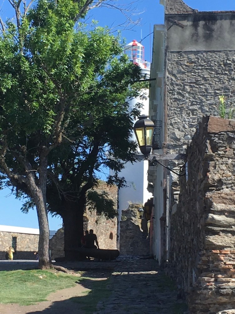 UNADJUSTEDNONRAW_thumb_12c8