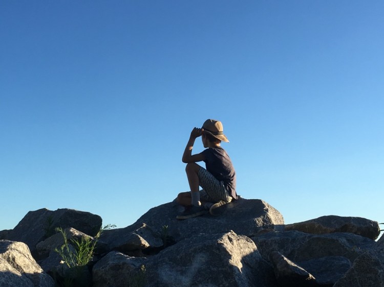 UNADJUSTEDNONRAW_thumb_1305