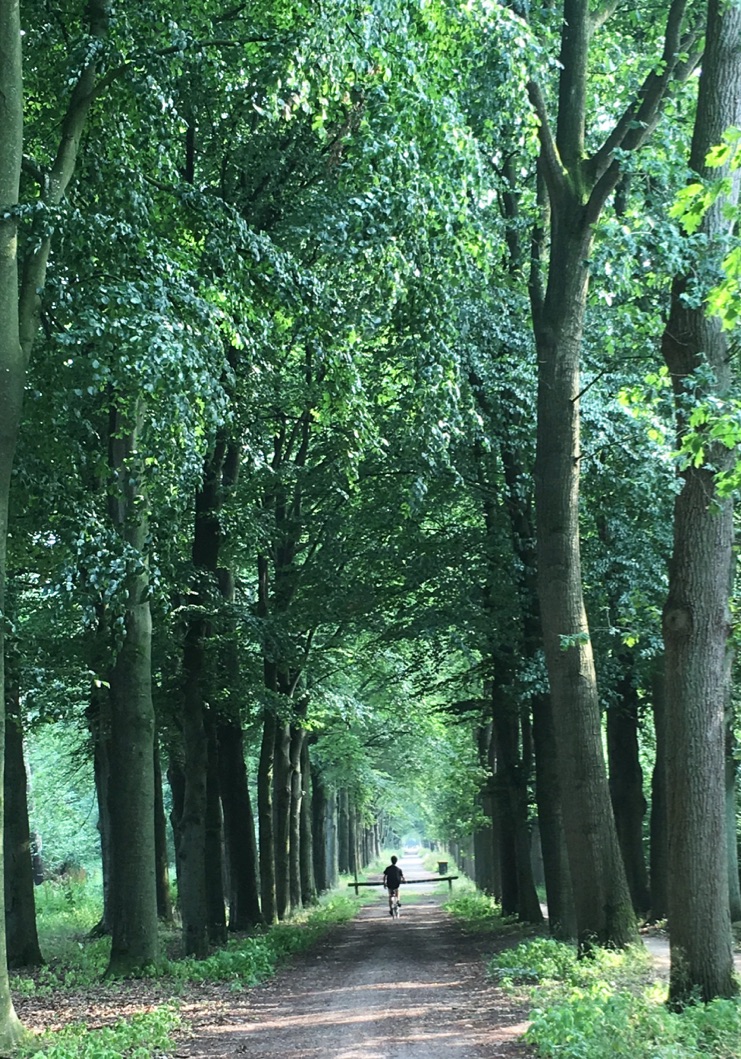 TIRWOmDXROetI5RGfI+b3A_thumb_22a6