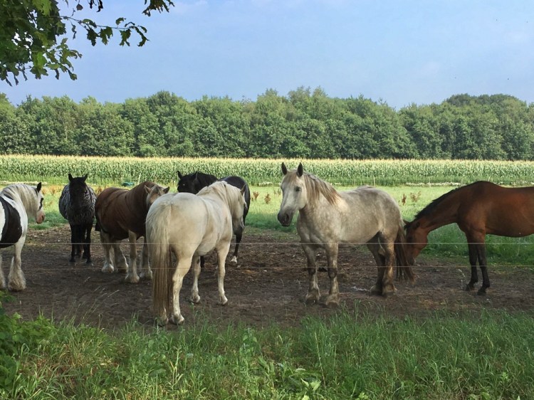 UBMzVbz0RQ62zi+4kBxEIw_thumb_229e