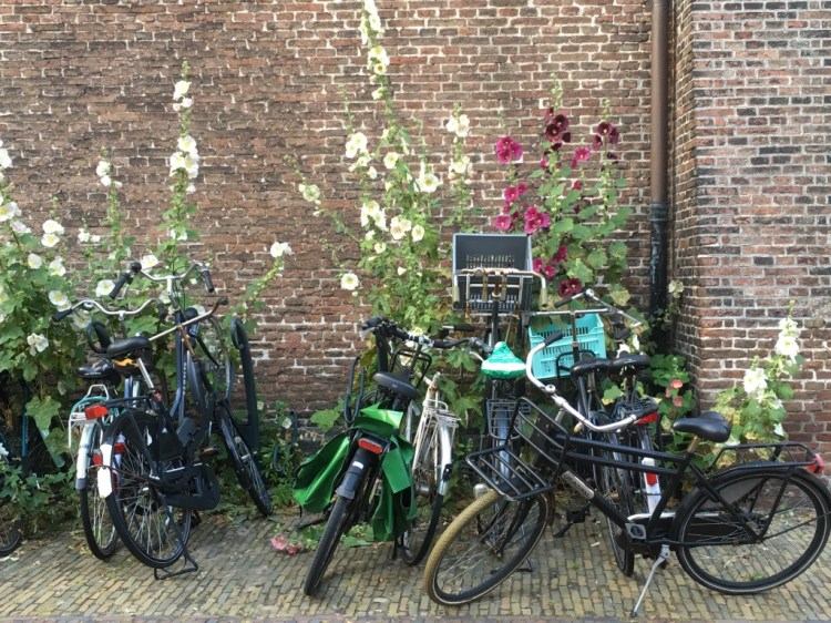 UNADJUSTEDNONRAW_thumb_21bc