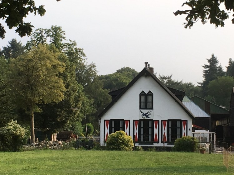 UNADJUSTEDNONRAW_thumb_229c