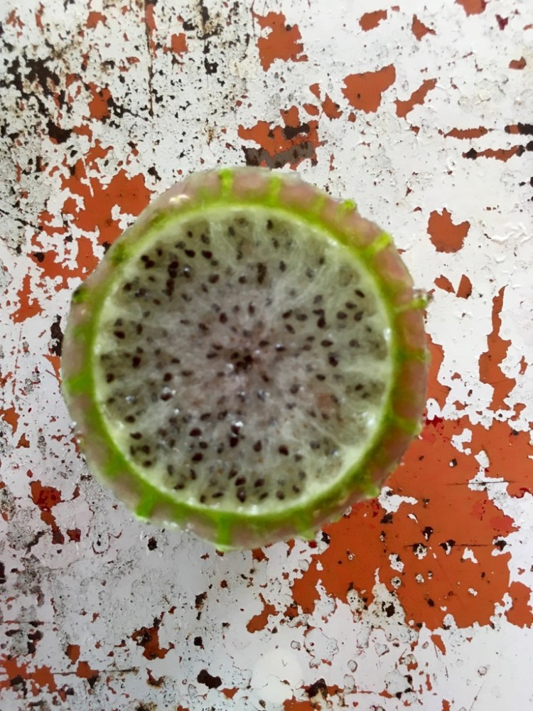 t7AG4ZqOSNWY51cLEOFV%g_thumb_1982