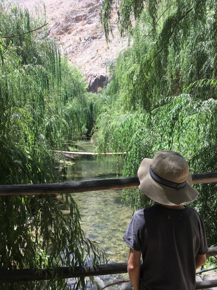 UNADJUSTEDNONRAW_thumb_19c9