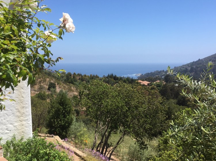 UNADJUSTEDNONRAW_thumb_19e6