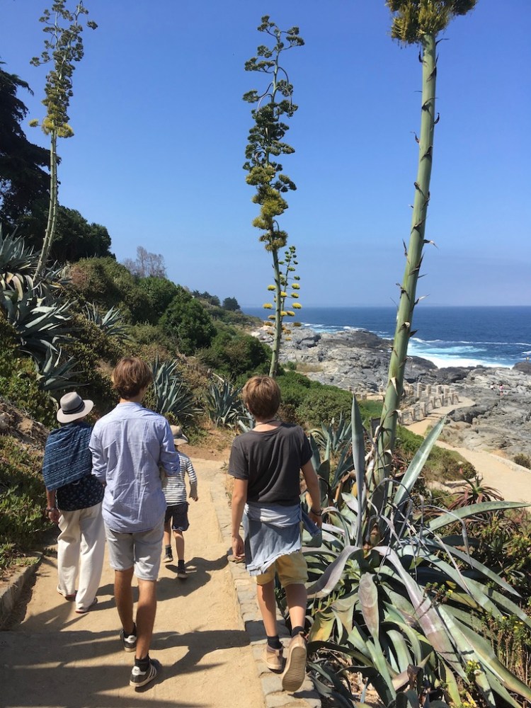 UNADJUSTEDNONRAW_thumb_19fe