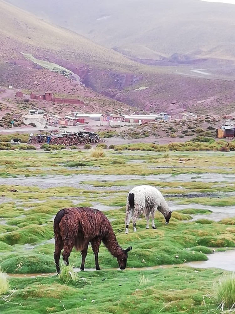 UNADJUSTEDNONRAW_thumb_1b07