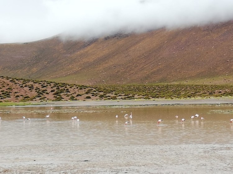 UNADJUSTEDNONRAW_thumb_1b11