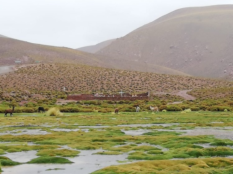 UNADJUSTEDNONRAW_thumb_1b14