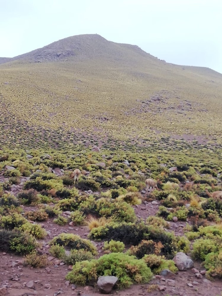 UNADJUSTEDNONRAW_thumb_1b18