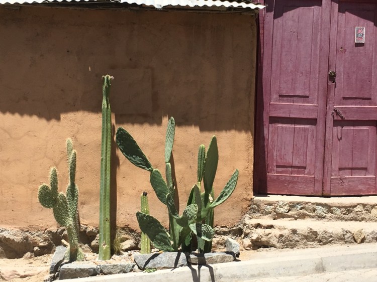 UNADJUSTEDNONRAW_thumb_1b1a