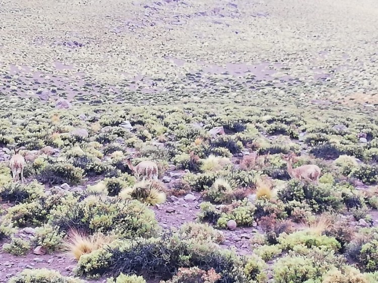 UNADJUSTEDNONRAW_thumb_1b27