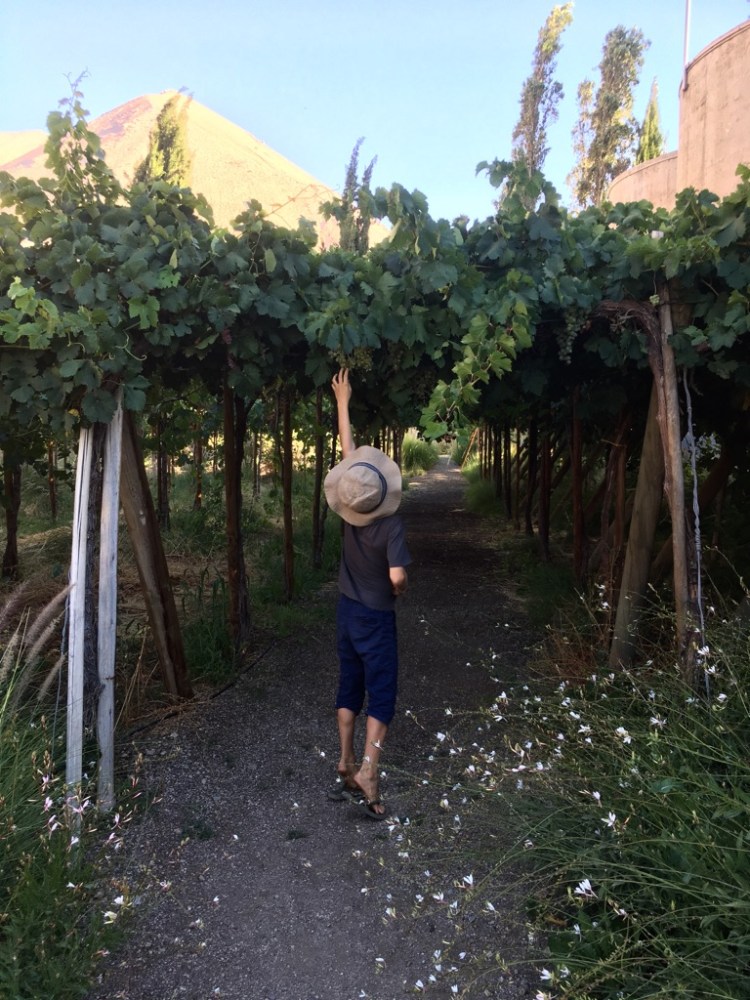 vH1ZAtq7TyyHm05Cj5qM%g_thumb_19dd