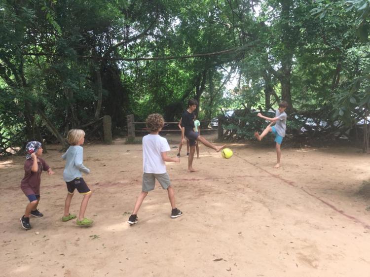 529142b2-a172-4dbe-85ff-9e4d15928d6e